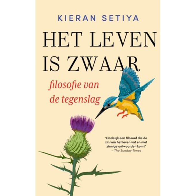 Het Leven Is Zwaar - Kieran Setiya