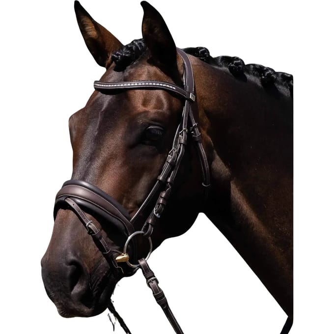 Paardentuig Premier Equine Veneto