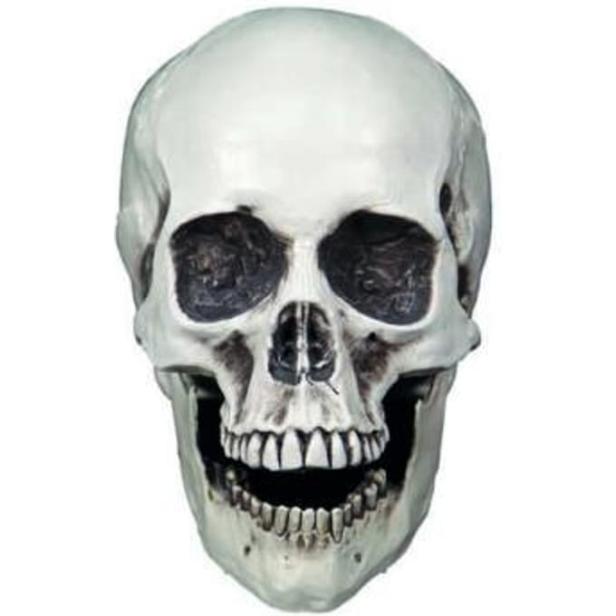 Schedel wit | Halloween | Griezel