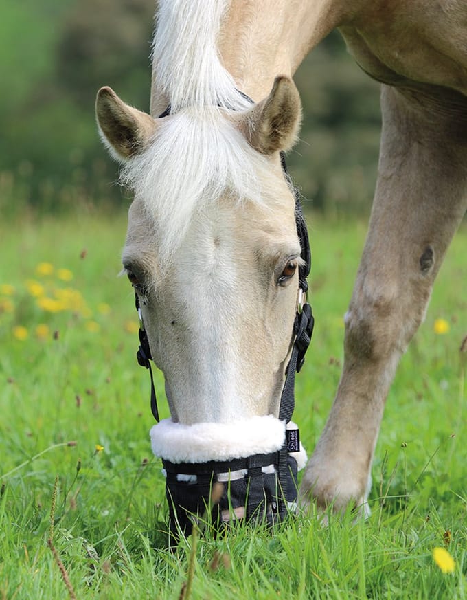 Paard muilkorven Shires FreeGraze Deluxe Comfort