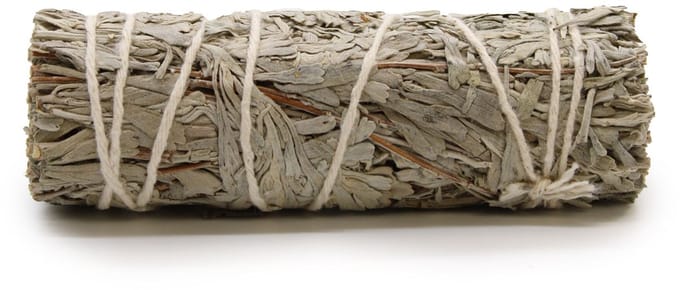 Smudge Stick - Blue Sage 10 cm