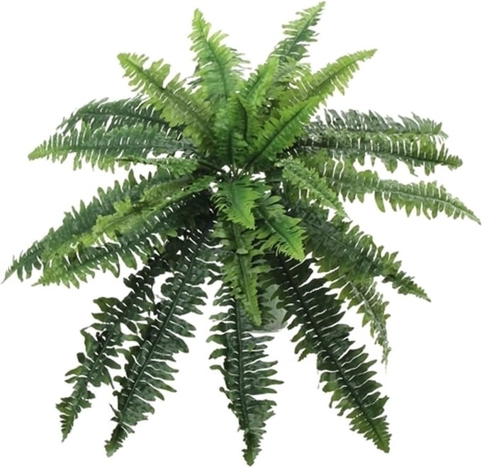 Kunstplant varen - groen - kunst kamerplant - 28 cm