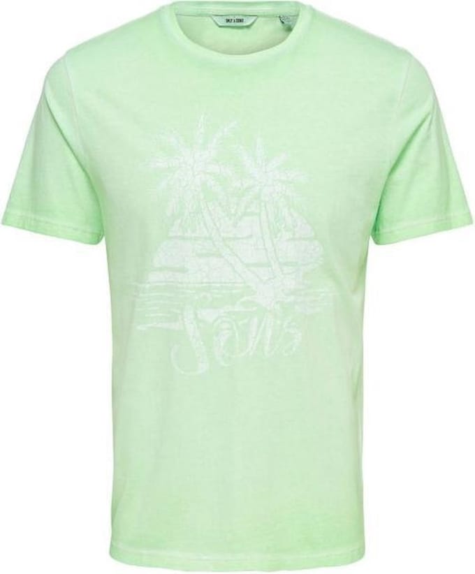 Only & Sons Pimmit Heren T-shirt - Maat M