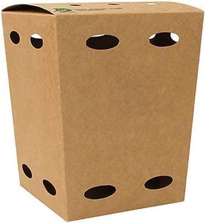 50 st. 50st. Kartonnen Frietboxen - Klein