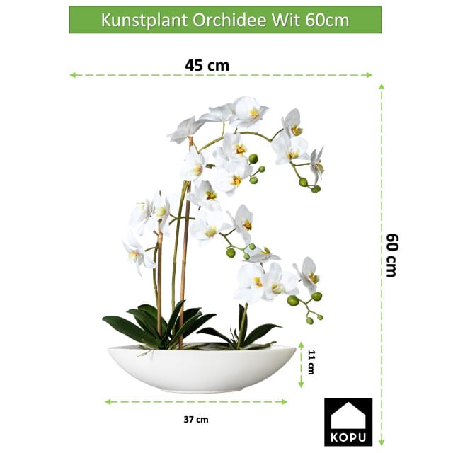 Kopu® Kunstbloem Orchidee 60 cm Wit met Schaal Ovaal - Phalenopsis