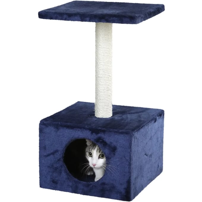 Kattenboom Kerbl Amethyst