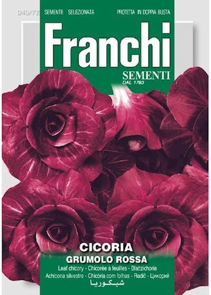 Fr Cichorei, Cicoria Rossa di Verona Tardiva 40/72