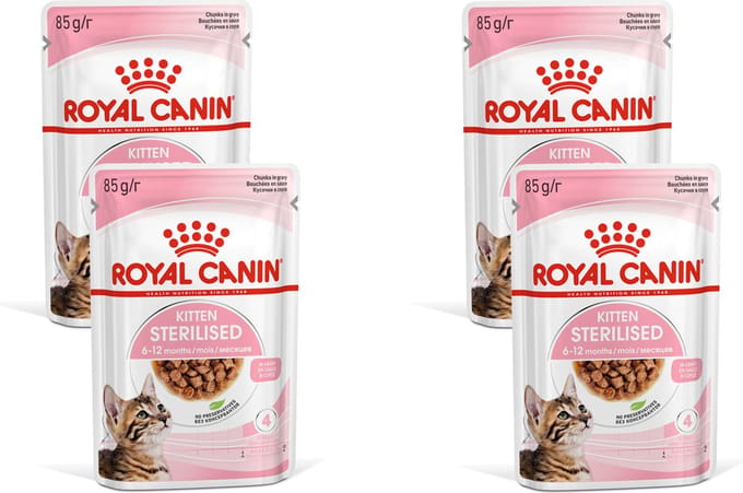 Royal Canin Kitten Sterilised Gravy - Kitten-Kattenvoer - 4 x 12x85 g