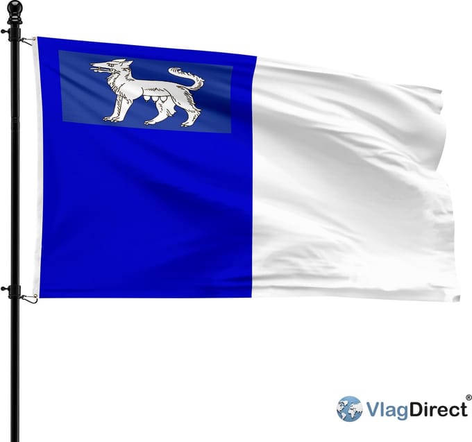 Gemeente La Louvière vlag - 90 x 150 cm.