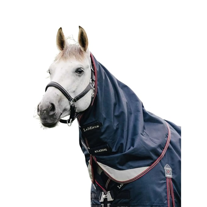 Paardendeken LeMieux Kudos 200 g