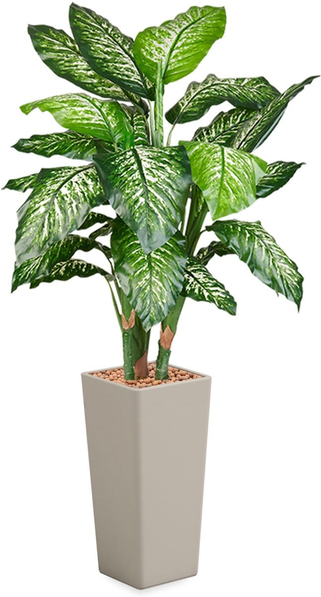 HTT - Kunstplant Dieffenbachia in Clou vierkant taupe H175 cm