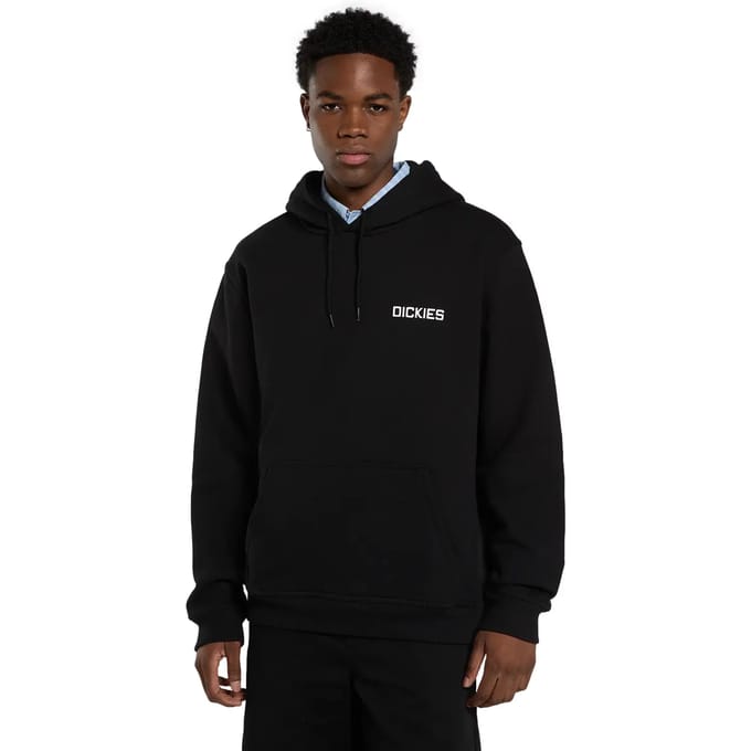 Capuchon sweaters Dickies Payson Back Graphic Pullover Hoodie