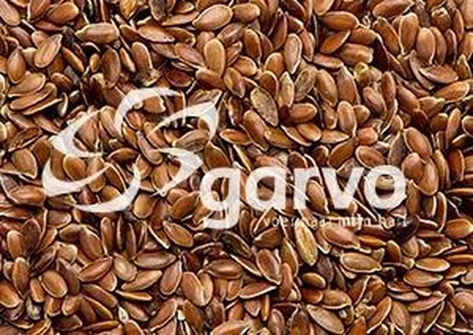 Garvo Lijnzaad (5321) 20KG