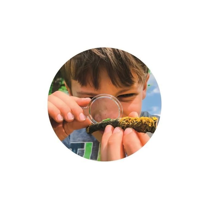 Het huis van de insecten - Clementoni - Wetenschap & Spel - Wetenschappelijke Spellen