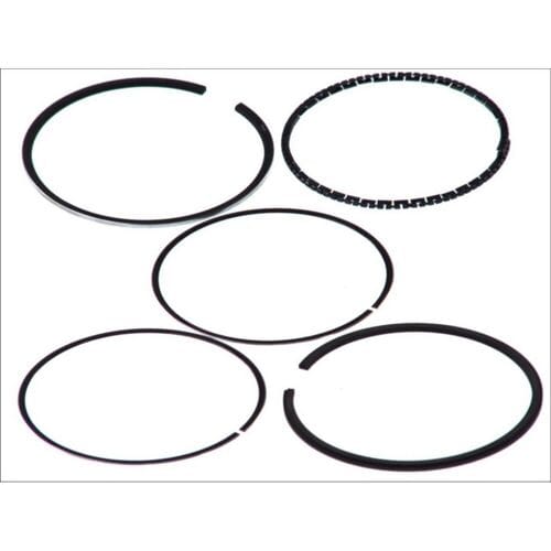Goetze Engine Zuigerveren set GOETZE 08-502000-00