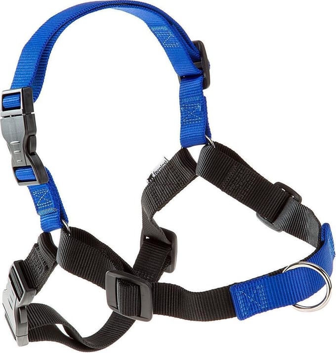 Ferplast Hondentuigje Coach 64 Tot 91 Cm Nylon Blauw