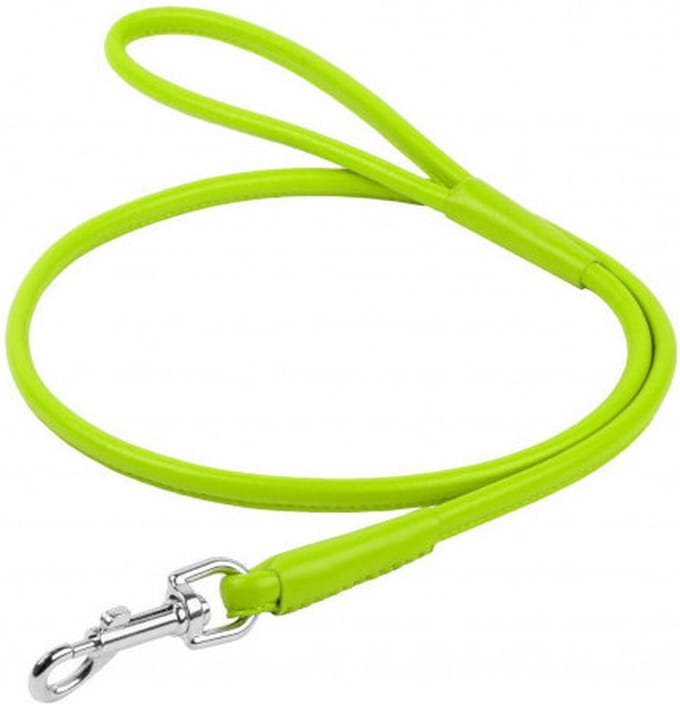 WAUDOG Glamour Hondenriem / Hondenlijn - Rond Leder - Groen - Diameter: 6 mm - Lengte: 122 cm