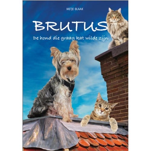 Brutus - Metje Blaak