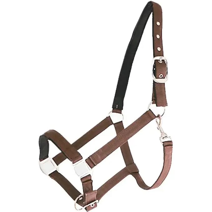 Nylon gevoerd paardenhalster Canter