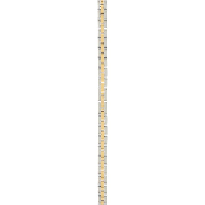 Bering PT-A14520S-BSCG Classic band