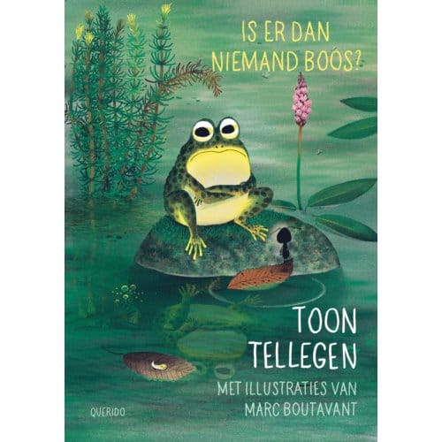 Is Er Dan Niemand Boos? - Boos - Toon Tellegen