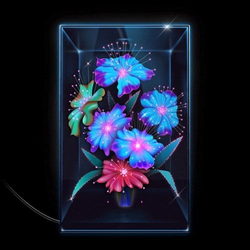 Xenia Rubinos - Una Rosa (CD)