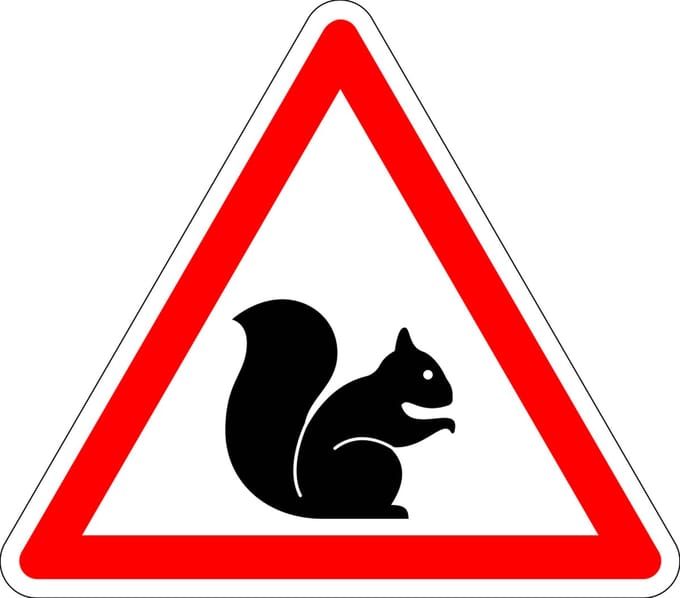 Pas op voor eekhoorn sticker 400 mm