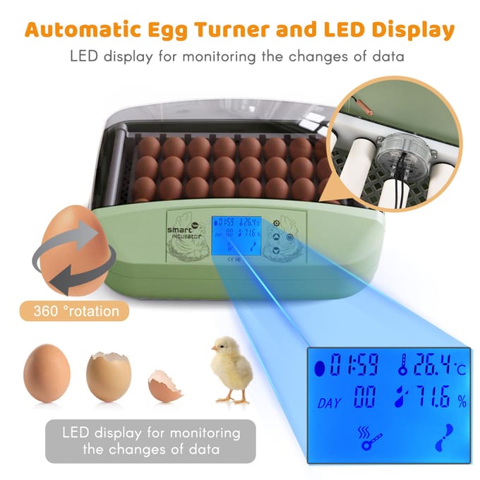 Eierbroedmachine 32 Eieren Pluimvee Digitale Broedmachine met Automatische Eierdraaiing Temperatuurregeling LED Display Temperatuur UK Plug groen