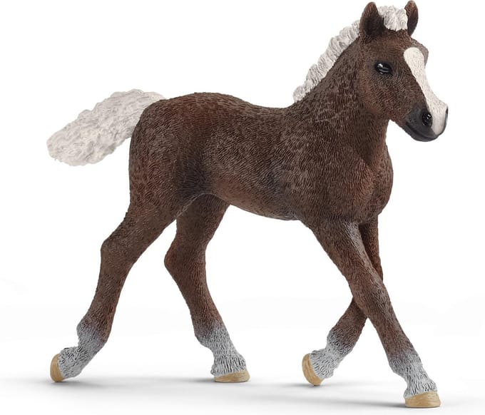schleich FARM WORLD - SchwarzwÃ¤lder veulen - 13899