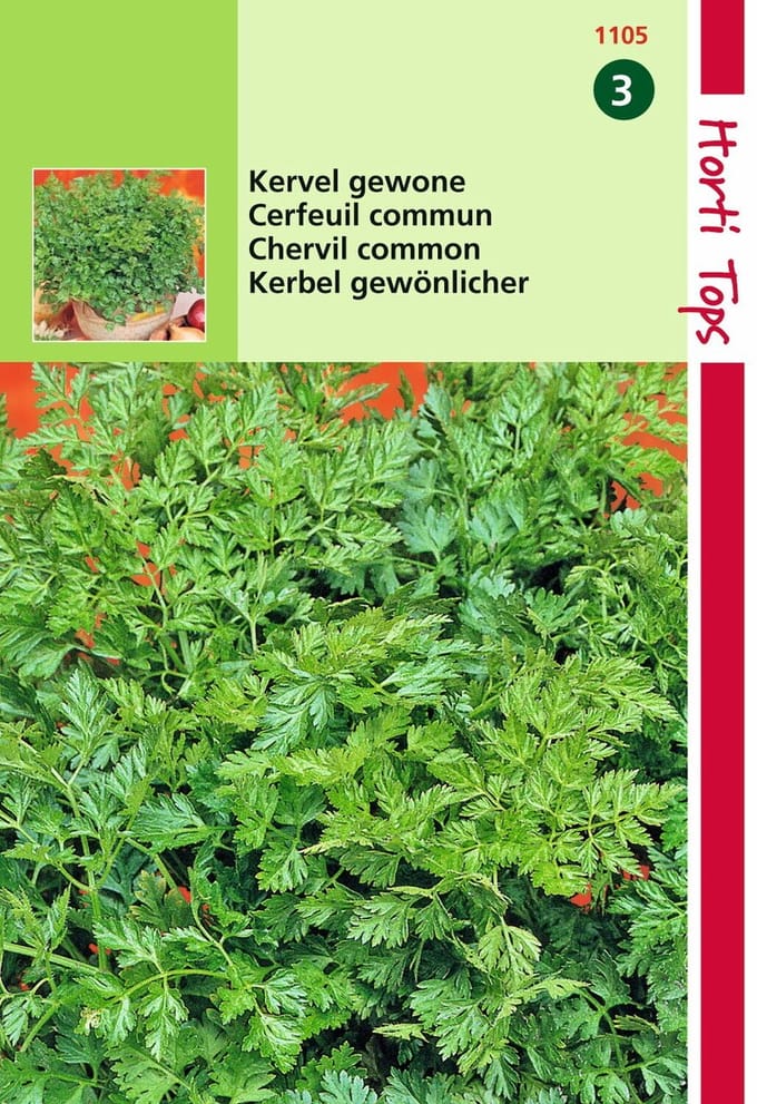 2 stuks - Hortitops - Kervel
