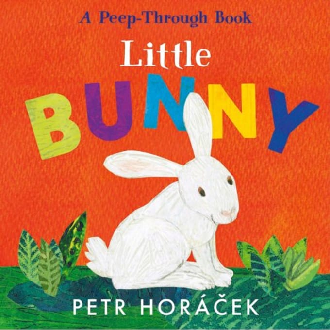 Little Bunny - Petr Horacek