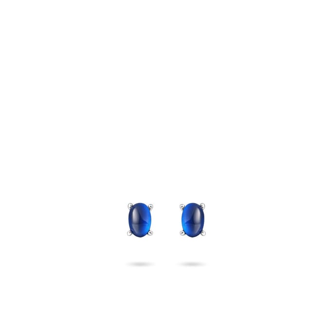 GISSER Silver Earrings