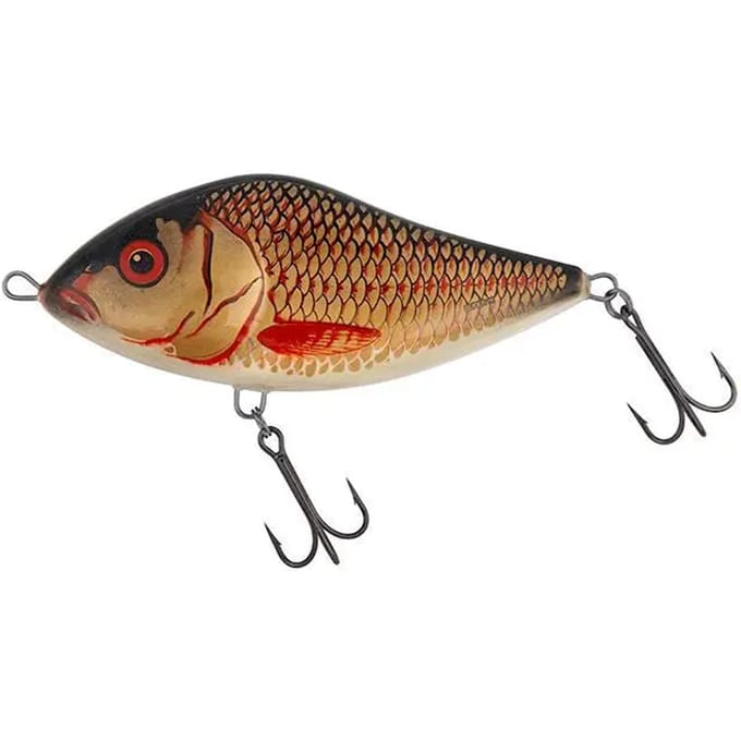 Lok Salmo 16S