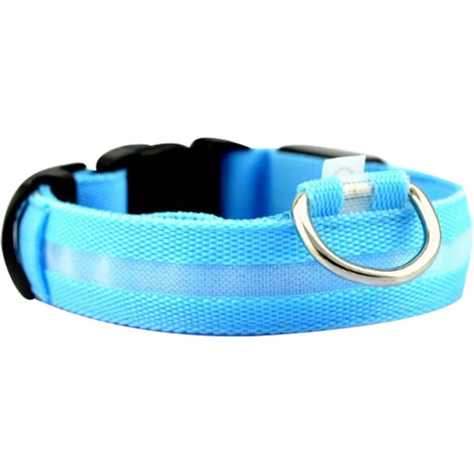 LED Hondenhalsband Mode Veiligheid USB Oplaadbaar Waterdicht Lichtgevende Hondenhalsband voor Kleine Middelgrote blue