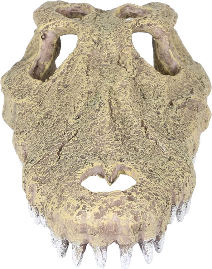 Aqua Della Krokodil Schedel - Aquarium - Ornament - 28.5x14.5x8 cm