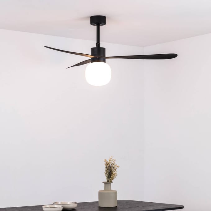 FARO BARCELONA Plafondventilator Amelia Ball LED lamp zwart