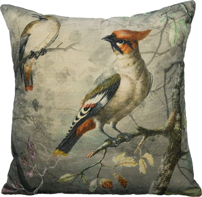 kussen fluweel charming kuifvogel 45x45cm