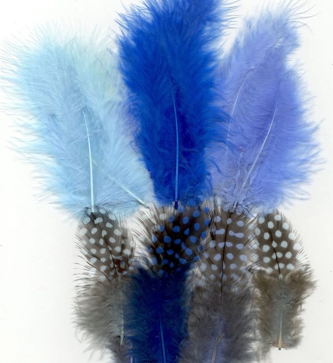 Vaessen Creative Marabou - feathers & guinea fowl - 5-13cm - Boy