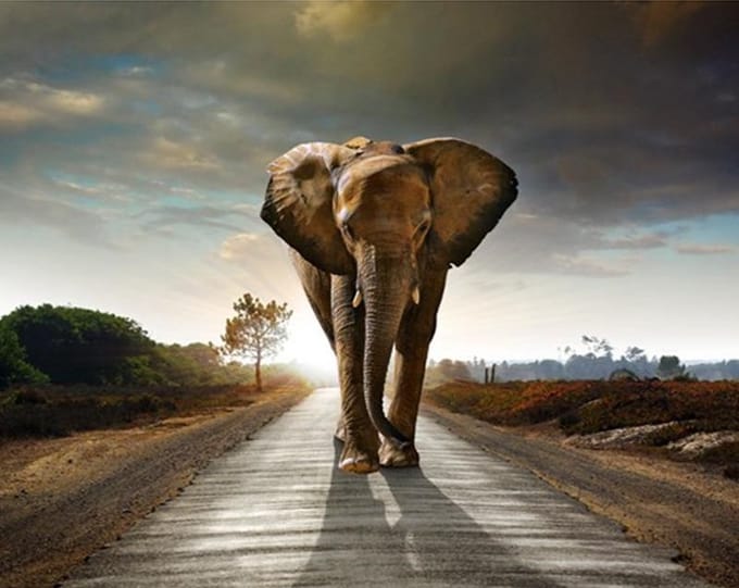 Diamond painting 30x40cm - olifant - vierkante steentjes
