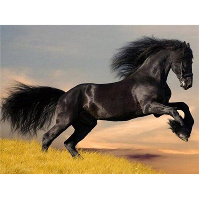 Peinture diamant 5D cheval neige, broderie point de croix, image en strass 20X30CM gray