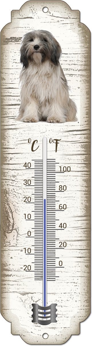 Thermometer: Tibetaanse Terriër | Hondenras | Temperatuur binnen en buiten | -25 tot +45C