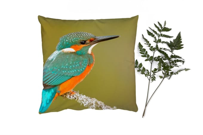Sierkussens - Kussentjes Woonkamer - 60x60 cm - IJsvogel - Dieren - Vogel