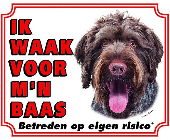 Duitse Staande Ruwhaar Waakbord - Ik waak voor mijn baas