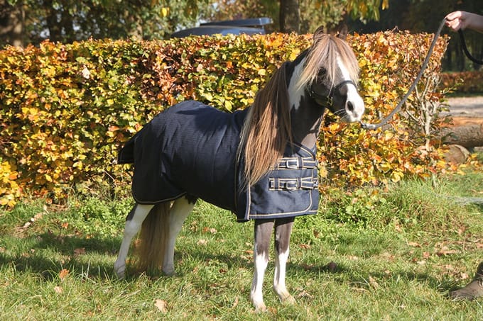 MHS Turnoutdeken Bentley Plus 200gr 125/155 cm