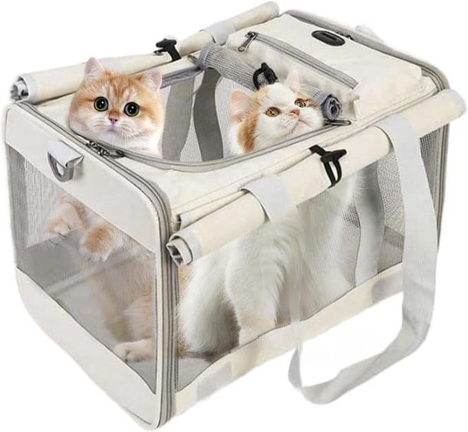Draagbare Dierentas - Reismand Kat - Veilig Vervoer - Ademend Mesh - 45 cm Lengte - Multicolor
