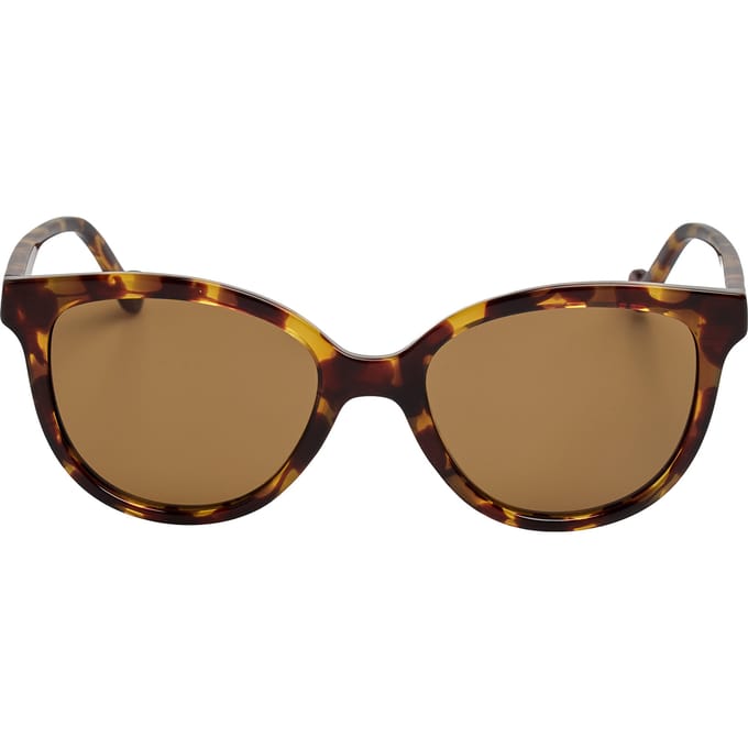 Dames Cat Eye Acetate Zonnebril LJ3609S