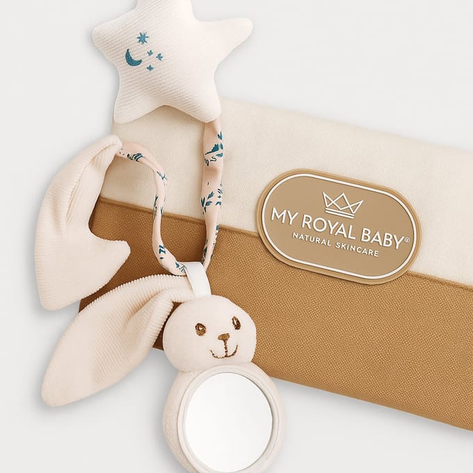MyRoyalKids® Baby Bag Organizer