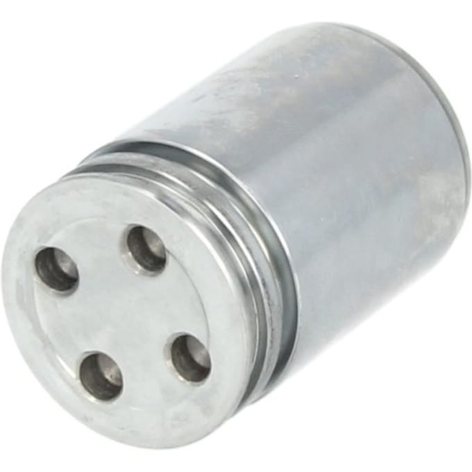 Zuiger, remklauw AUTOFREN SEINSA D025241, achter