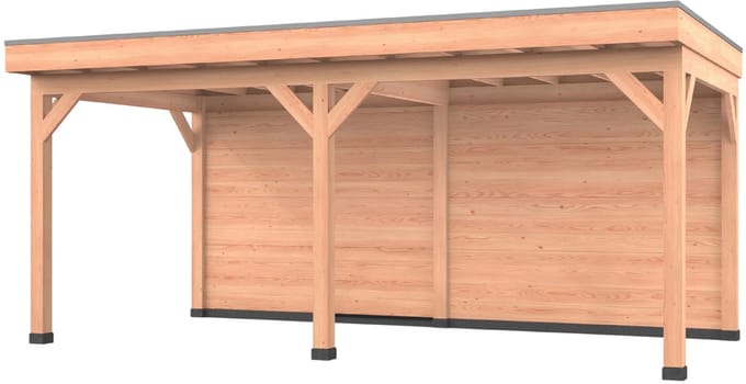 Douglas overkapping, 600 x 300, met achterwand, Westwood Comfort Premium