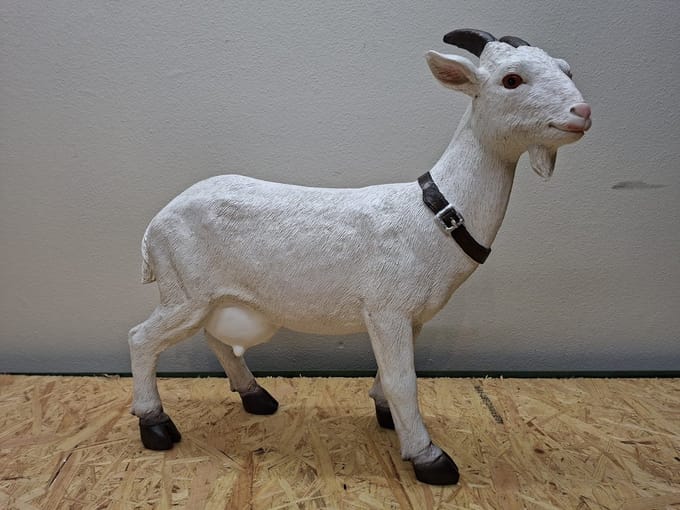 Levensechte Geit met Hoorns – Decoratie beeld – Polyresin – L43 x B14 x H40 cm